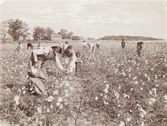 (THE SOUTH) A group of four photographs documenting African American sharecroppers cotton picking (2) and its packing and storage (2).